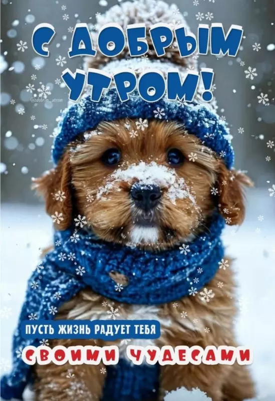 Tapтaлeтки & Ко