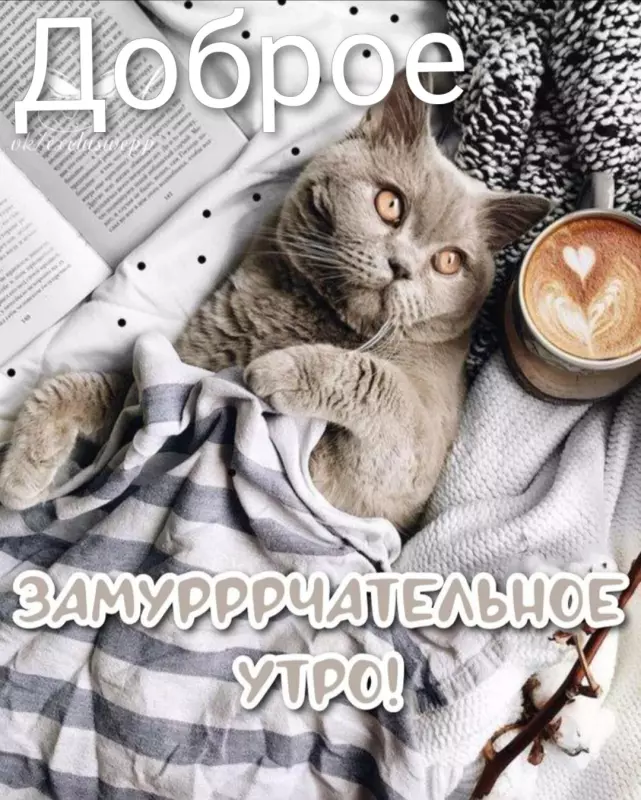 Tapтaлeтки & Ко