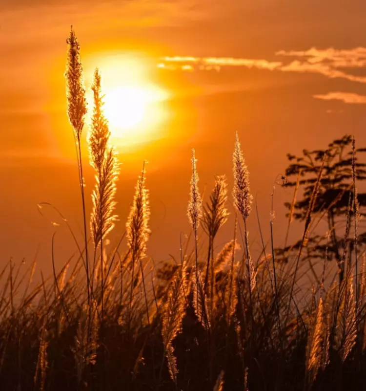 Tapтaлeтки & Ко