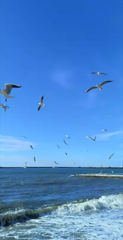 Tapтaлeтки & Ко