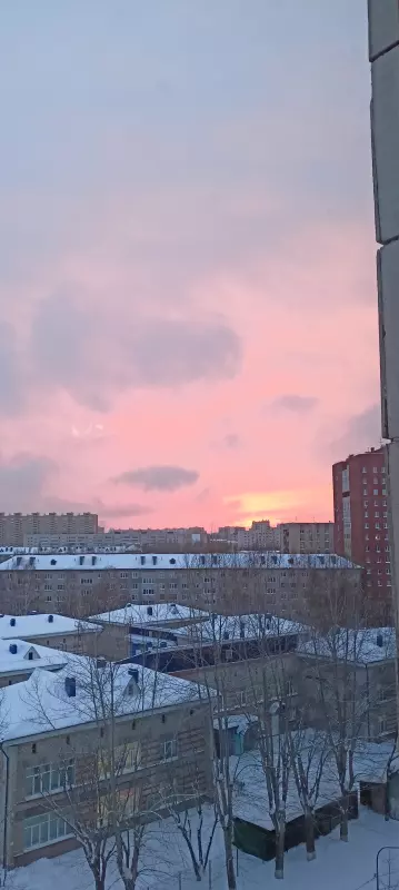 Tapтaлeтки & Ко