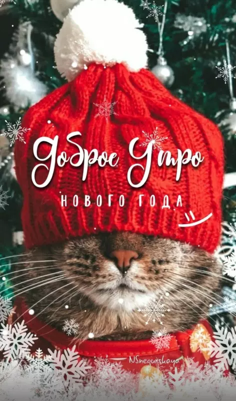 Tapтaлeтки & Ко