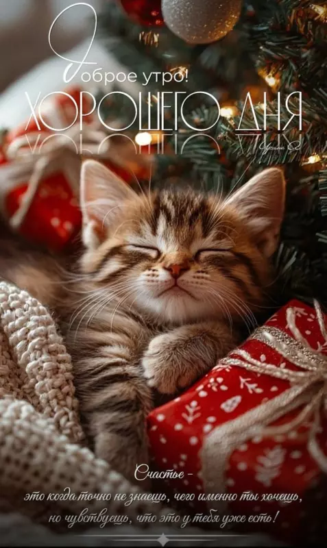 Tapтaлeтки & Ко