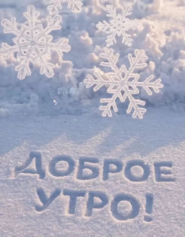 Tapтaлeтки & Ко