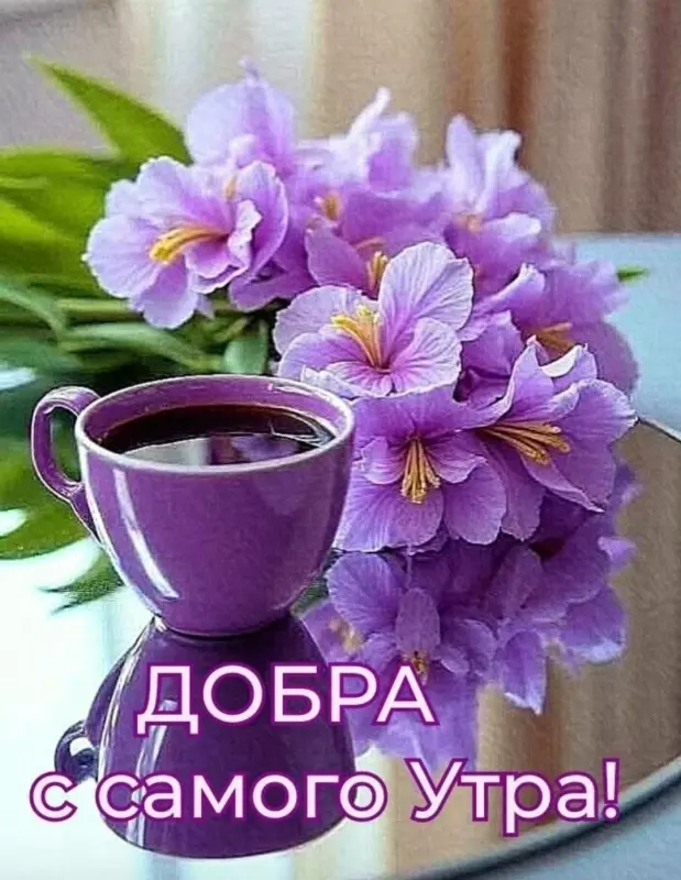 Tapтaлeтки & Ко