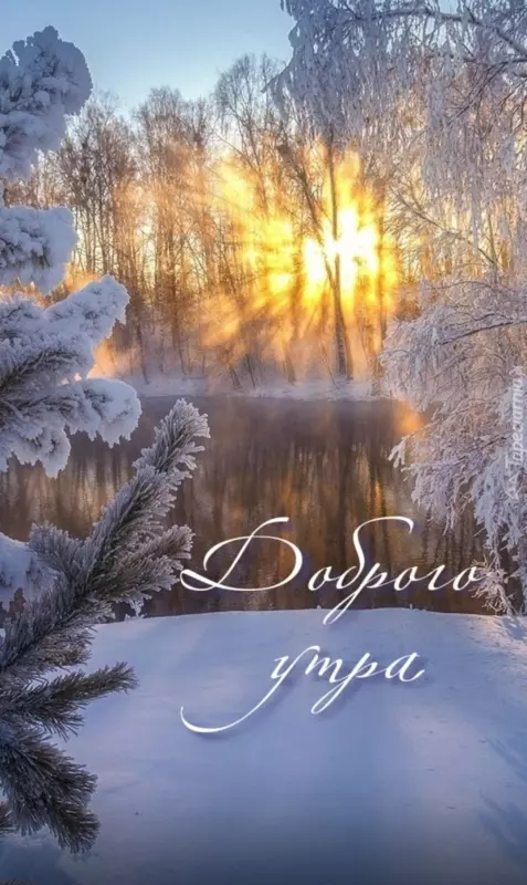 Tapтaлeтки & Ко