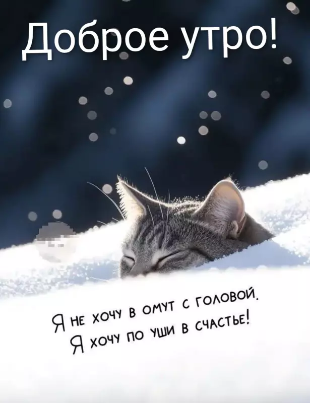 Tapтaлeтки & Ко