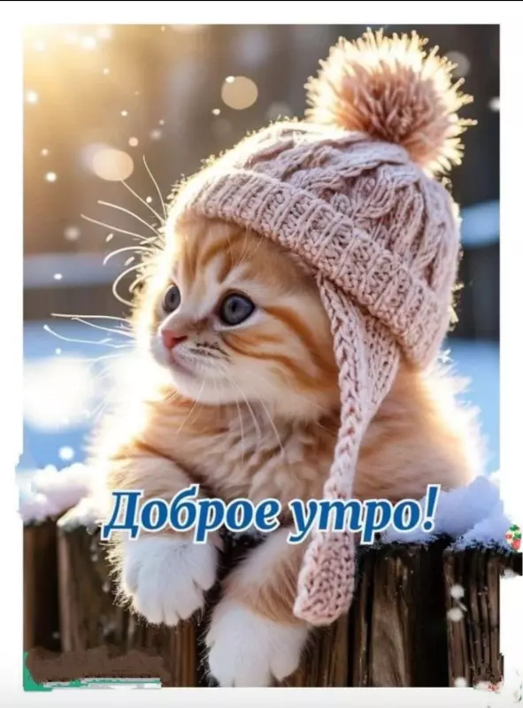 Tapтaлeтки & Ко