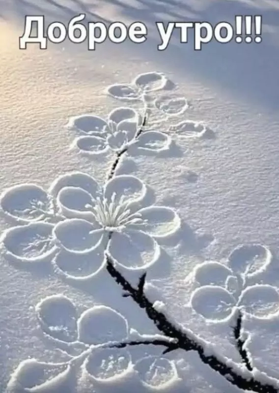 Tapтaлeтки & Ко