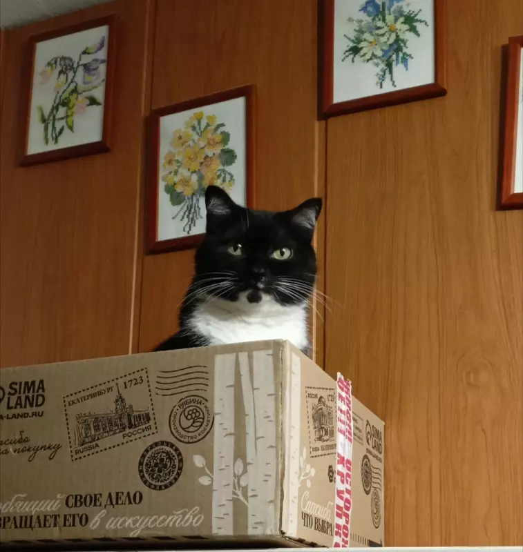 Tapтaлeтки & Ко