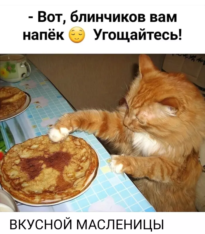 Tapтaлeтки & Ко