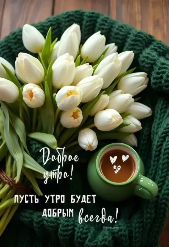 Tapтaлeтки & Ко