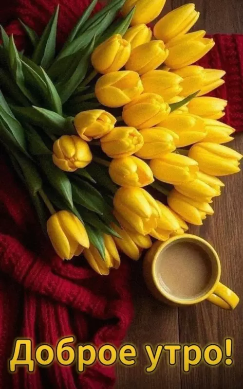 Tapтaлeтки & Ко