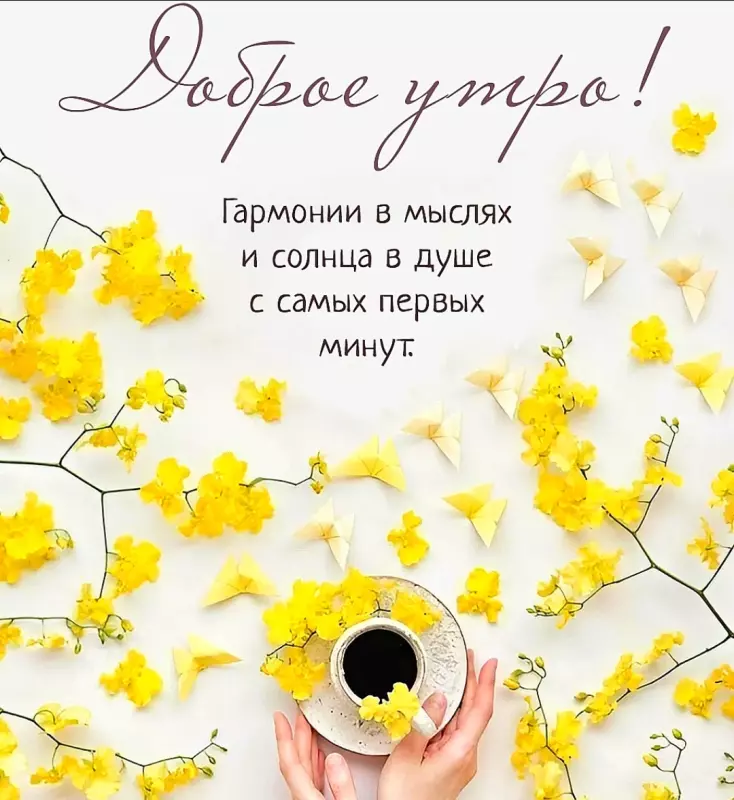 Tapтaлeтки & Ко