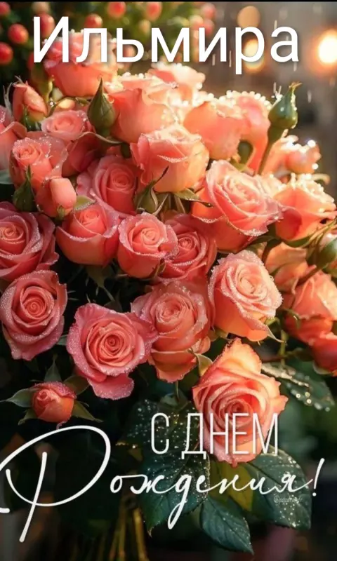 Tapтaлeтки & Ко