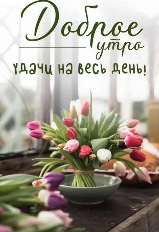 Tapтaлeтки & Ко