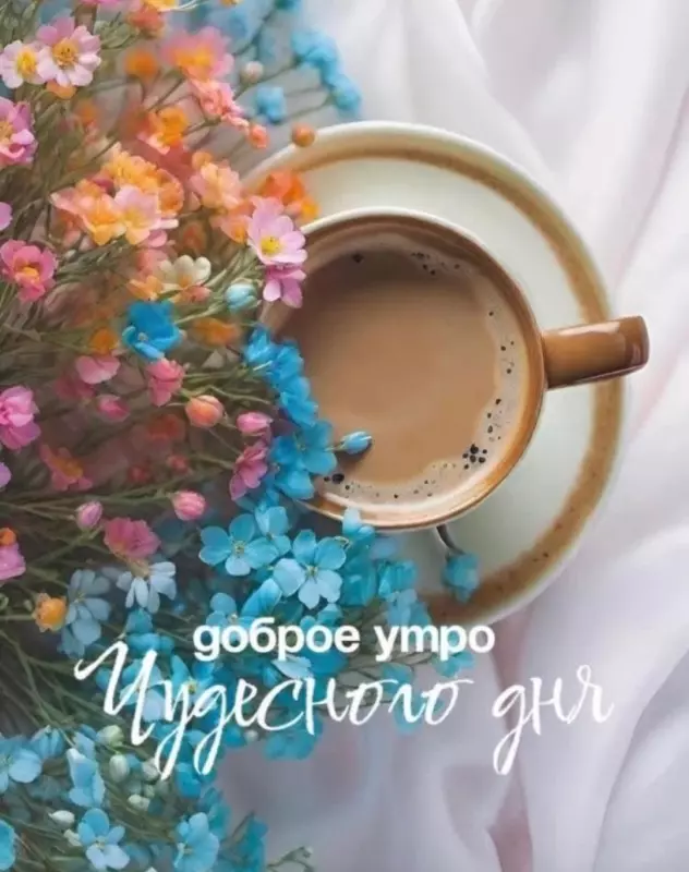 Tapтaлeтки & Ко