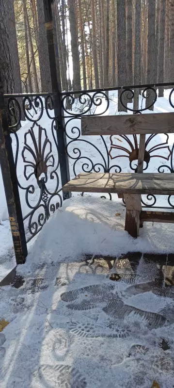 Tapтaлeтки & Ко