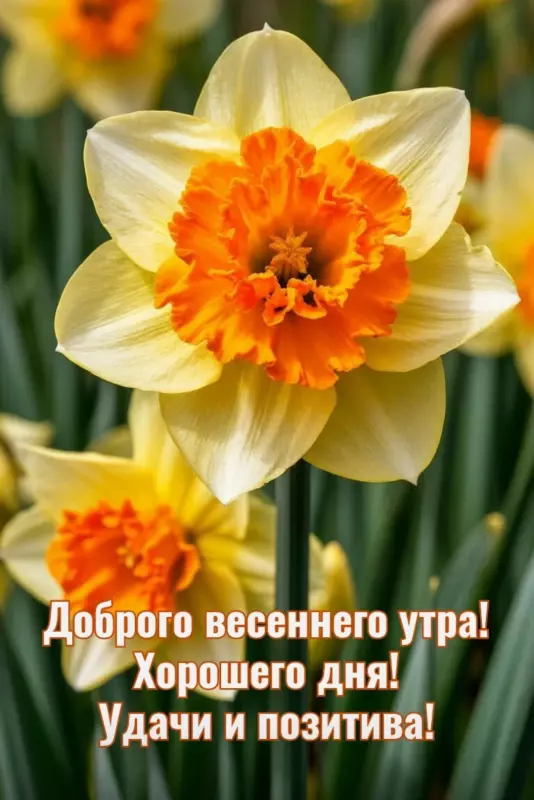 Tapтaлeтки & Ко