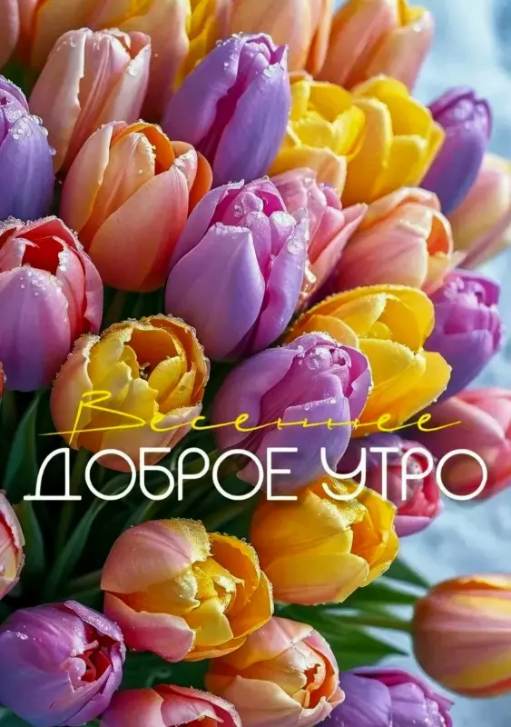 Tapтaлeтки & Ко