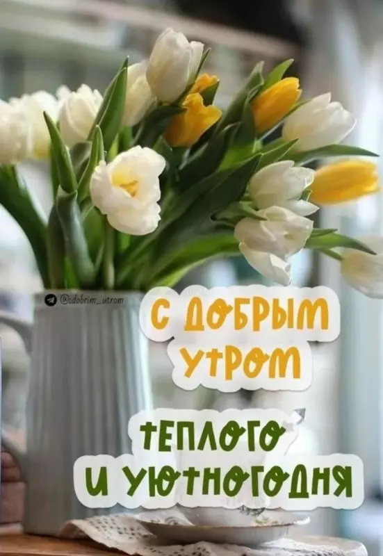 Tapтaлeтки & Ко