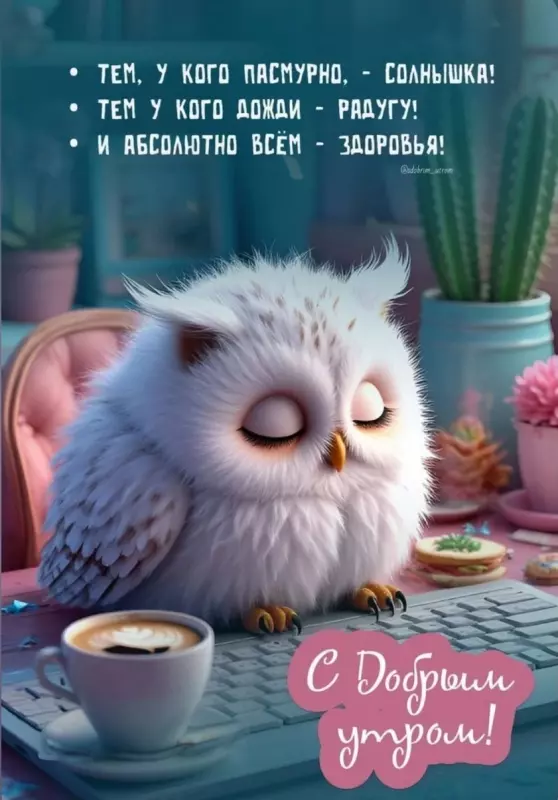 Tapтaлeтки & Ко