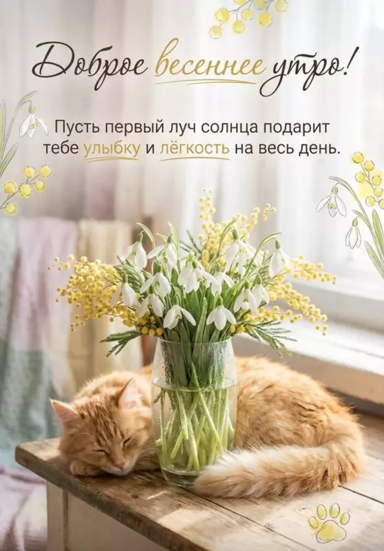 Tapтaлeтки & Ко