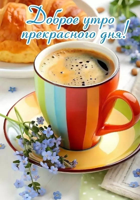 Tapтaлeтки & Ко