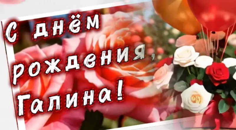 Tapтaлeтки & Ко