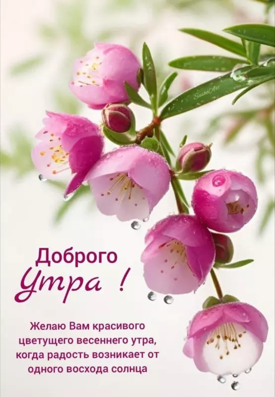 Tapтaлeтки & Ко