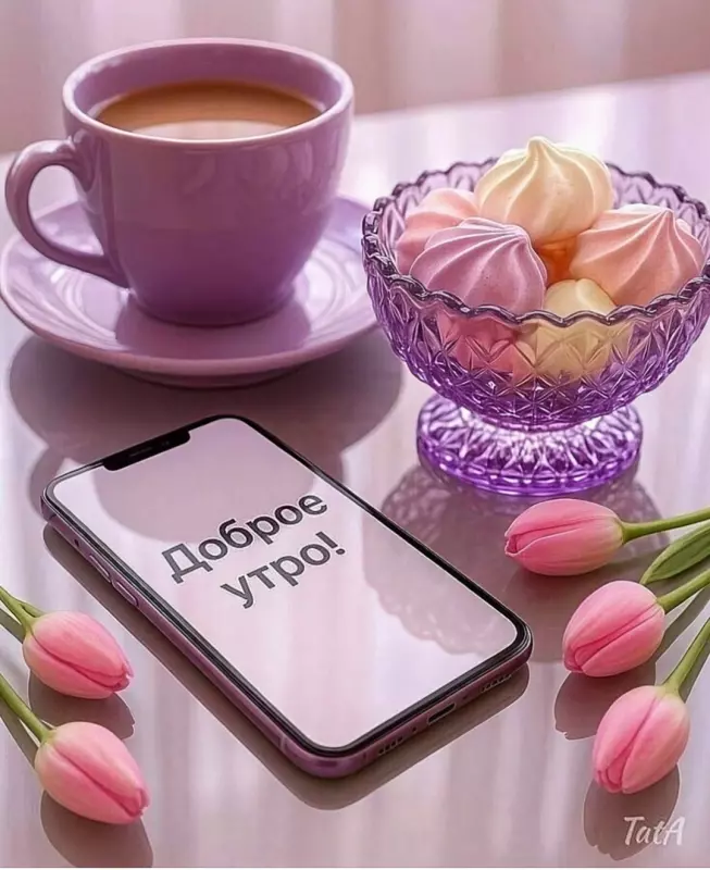 Tapтaлeтки & Ко