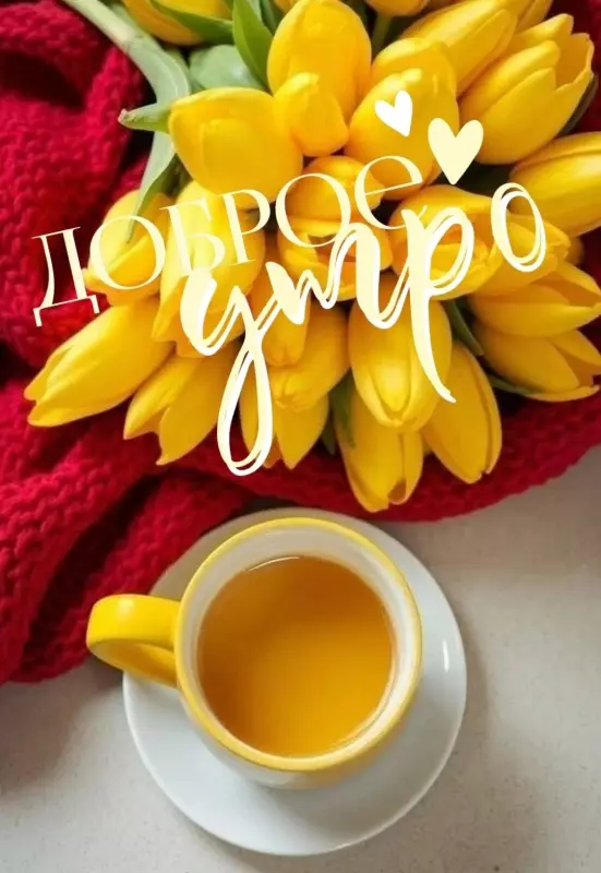Tapтaлeтки & Ко