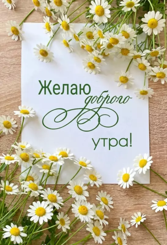 Tapтaлeтки & Ко