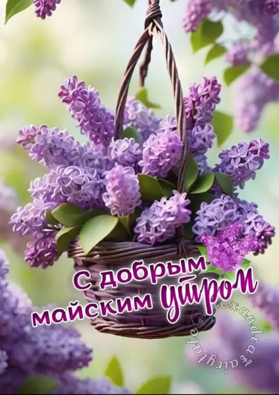 Tapтaлeтки & Ко