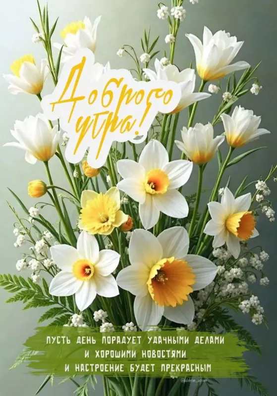 Tapтaлeтки & Ко