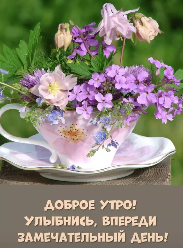 Tapтaлeтки & Ко