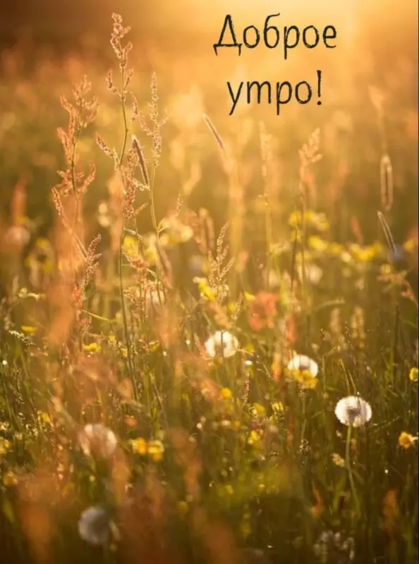 Tapтaлeтки & Ко