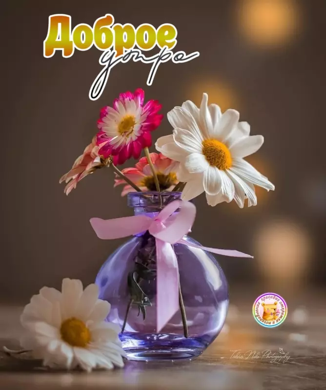Tapтaлeтки & Ко
