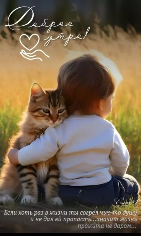 Tapтaлeтки & Ко