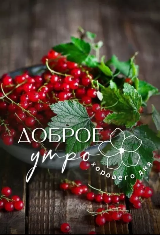 Tapтaлeтки & Ко