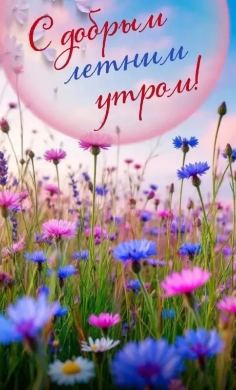 Tapтaлeтки & Ко