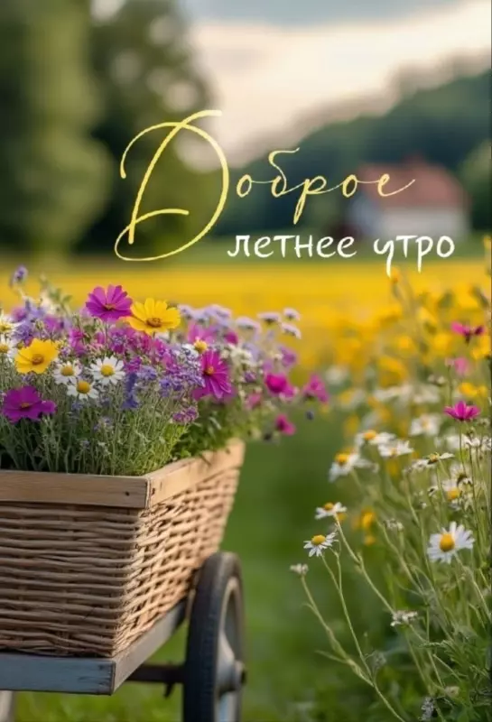 Tapтaлeтки & Ко