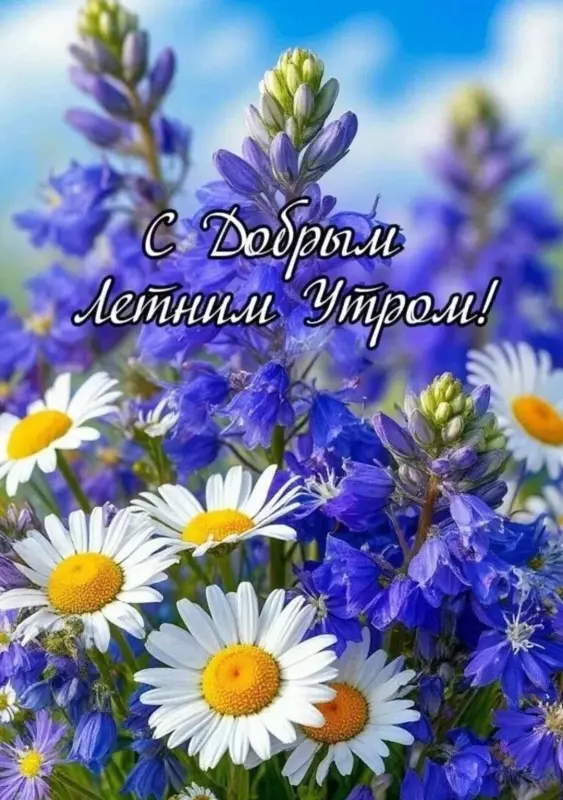 Tapтaлeтки & Ко