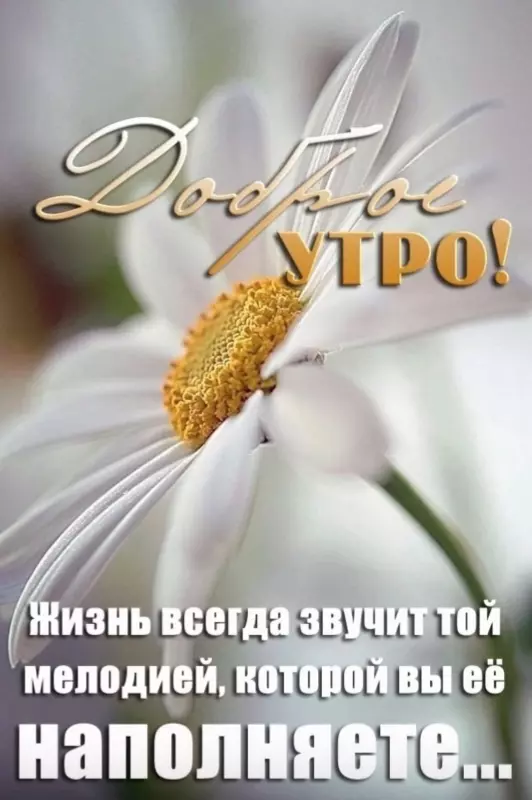 Tapтaлeтки & Ко