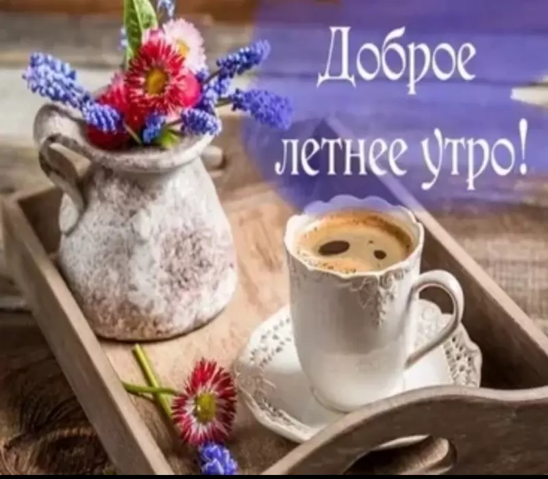 Tapтaлeтки & Ко