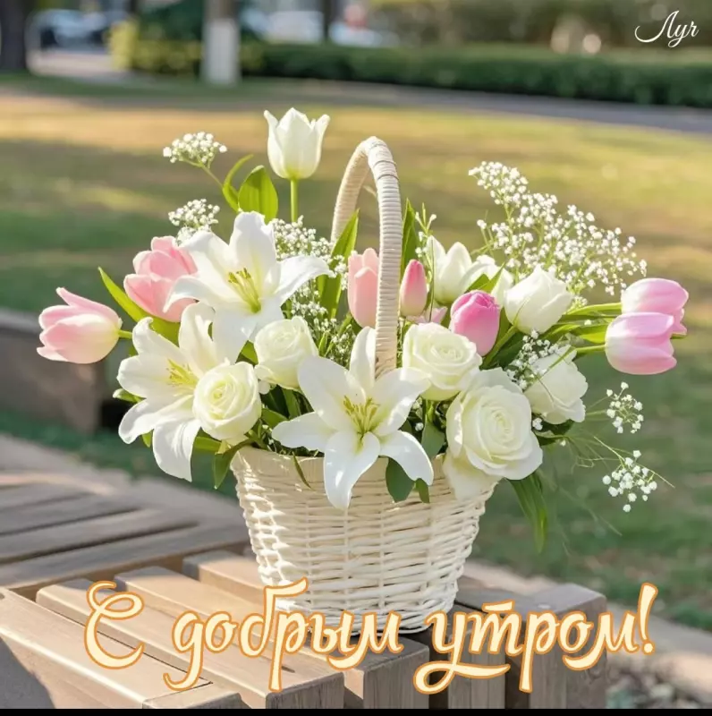 Tapтaлeтки & Ко