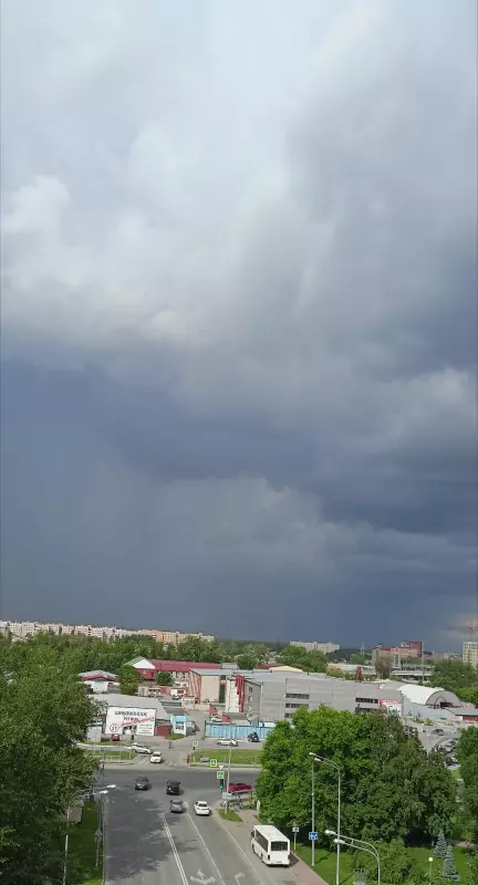 Tapтaлeтки & Ко