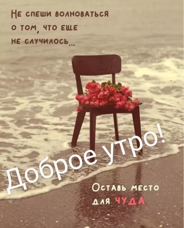 Tapтaлeтки & Ко