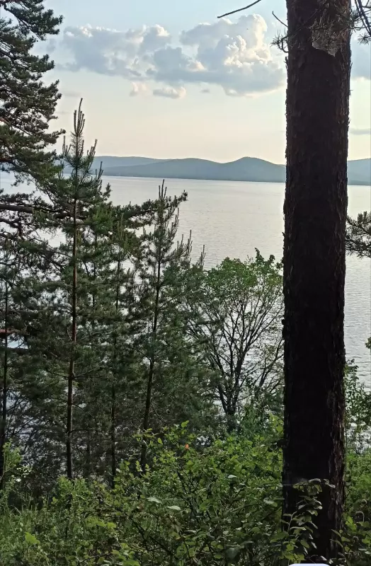 Чайная беседка