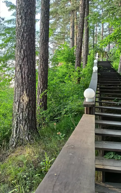 Чайная беседка